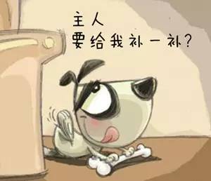 汪星人吃得太多怎么办？-5.jpeg