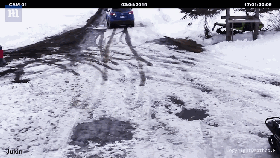 主人倒车撞向吉娃娃，边牧看到后，瞬间冲出救下好友...-5.gif