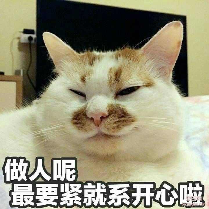 原来上帝也撸狗，还带走了俊介君-1.jpeg