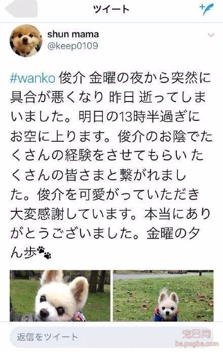 原来上帝也撸狗，还带走了俊介君-9.jpeg