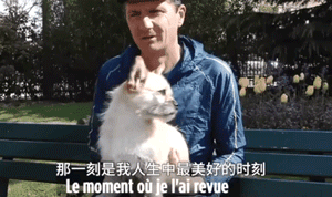 中国流浪狗跨国参加巴黎马拉松：它通过奔跑改变了命运！-5.gif