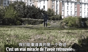 中国流浪狗跨国参加巴黎马拉松：它通过奔跑改变了命运！-8.gif