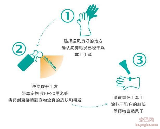 狗狗驱虫的那些问题你都了解吗？-4.jpeg