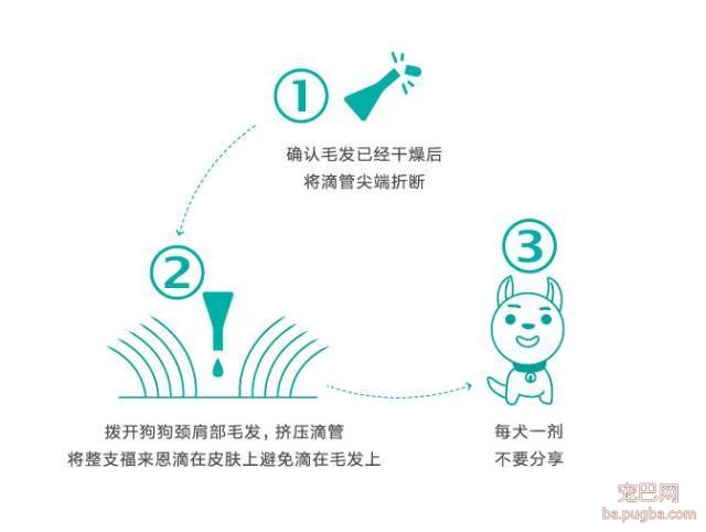 狗狗驱虫的那些问题你都了解吗？-3.jpeg