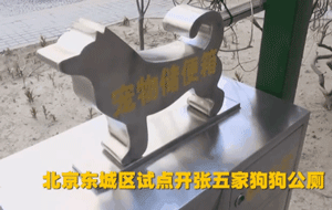 你信吗？我家楼下真的出现了狗狗公厕-1.gif
