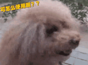 你信吗？我家楼下真的出现了狗狗公厕-7.gif