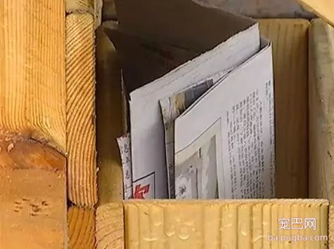你信吗？我家楼下真的出现了狗狗公厕-11.jpg