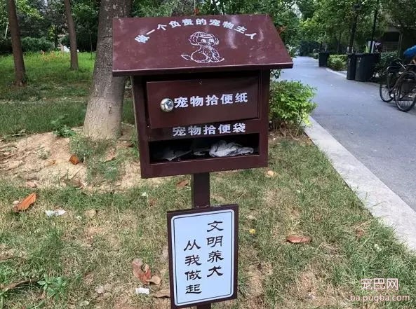你信吗？我家楼下真的出现了狗狗公厕-13.jpg