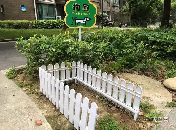 你信吗？我家楼下真的出现了狗狗公厕-12.jpg