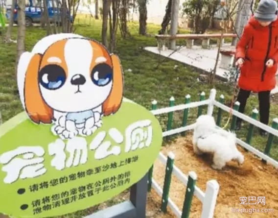 你信吗？我家楼下真的出现了狗狗公厕-17.jpg