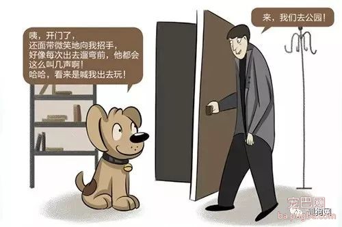 夸它时一脸兴奋，骂它时一脸愧疚：难道狗狗真能听懂人话？-7.jpeg
