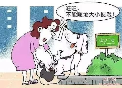 狗狗随地大小便惹人烦，深圳市民建议设置“遛狗专区”-3.jpeg