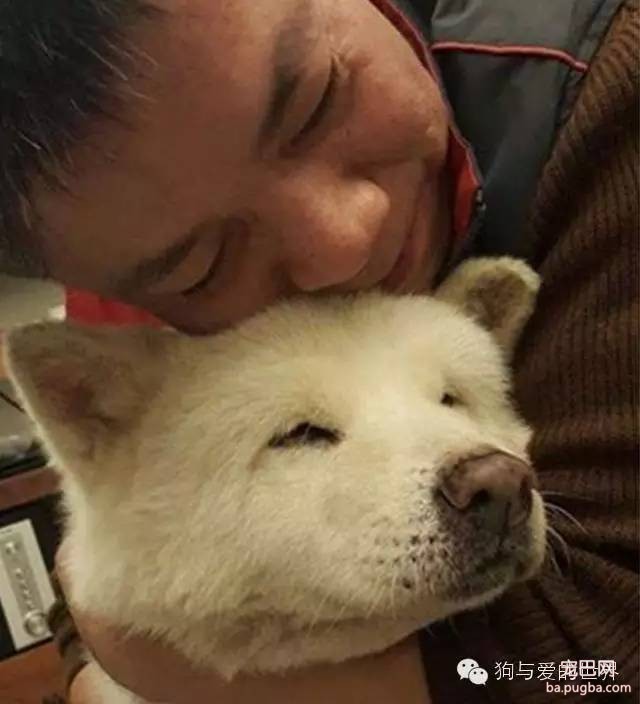 主人为了让16岁的狗狗开心，帮它找到了前主人，重逢的画面让人鼻酸……-3.jpeg