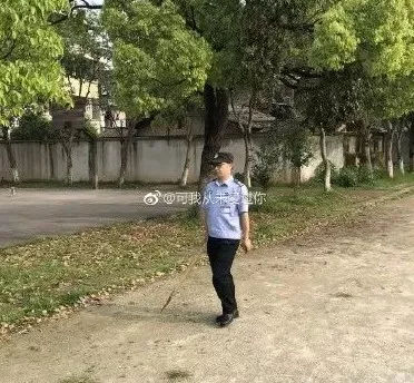 金毛误入校园被虐杀，学校领导：谁敢散播就开除谁！-1.jpg