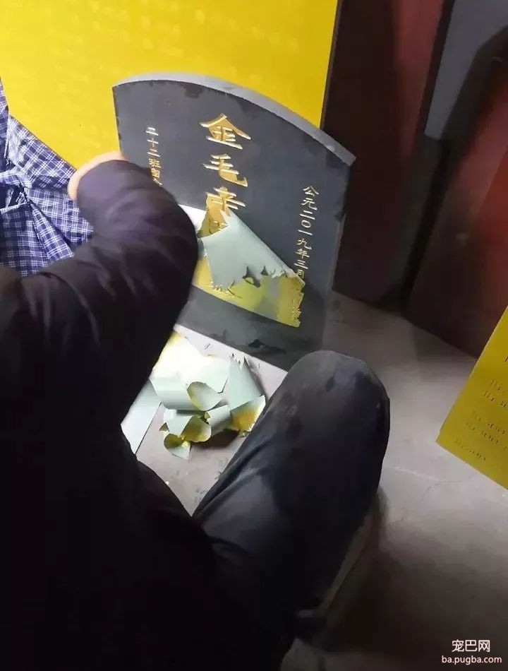 金毛误入校园被虐杀，学校领导：谁敢散播就开除谁！-13.jpg