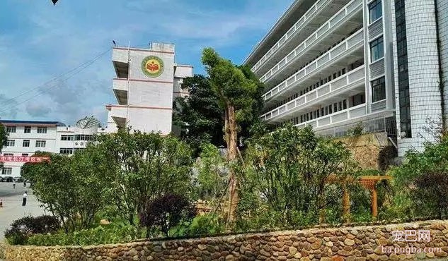 金毛误入校园被虐杀，学校领导：谁敢散播就开除谁！-8.jpg