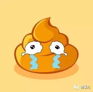 养狗之后，我们都成了脱离了低级趣味、高尚、有益于朋友的人！-1.jpeg
