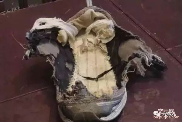 养狗之后，我们都成了脱离了低级趣味、高尚、有益于朋友的人！-7.jpeg