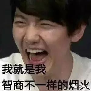 养狗之后，我们都成了脱离了低级趣味、高尚、有益于朋友的人！-9.jpeg