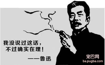 O' Pet 宠物防爆碗，碗届的诺基亚！！-1.jpeg