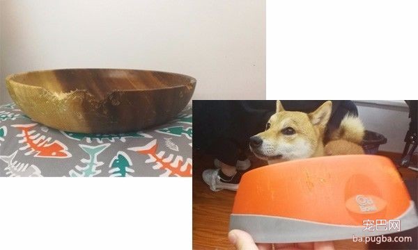 O' Pet 宠物防爆碗，碗届的诺基亚！！-2.jpeg