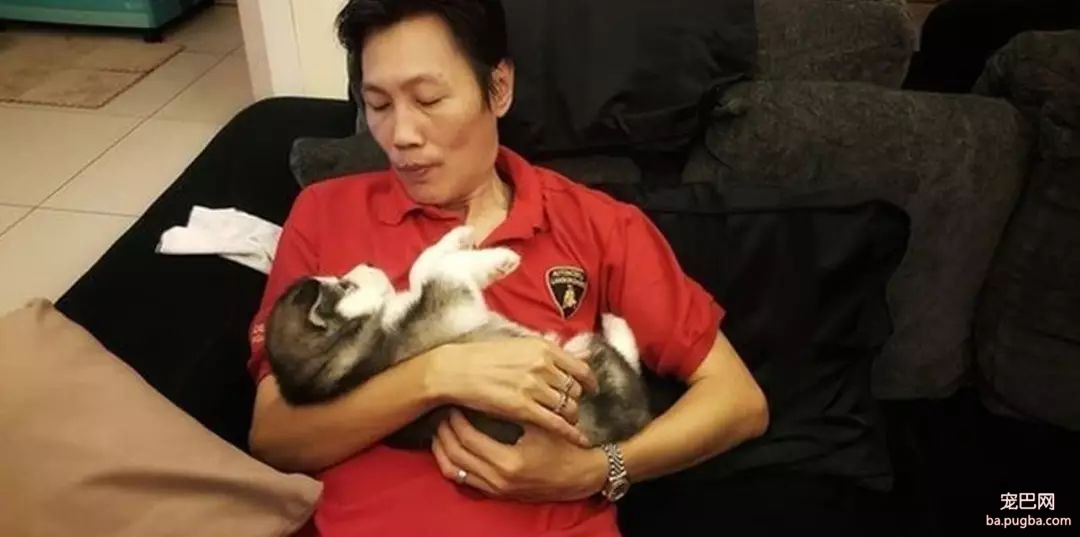 养狗千万别眨眼，因为你根本不知道它们长多快！-1.jpeg