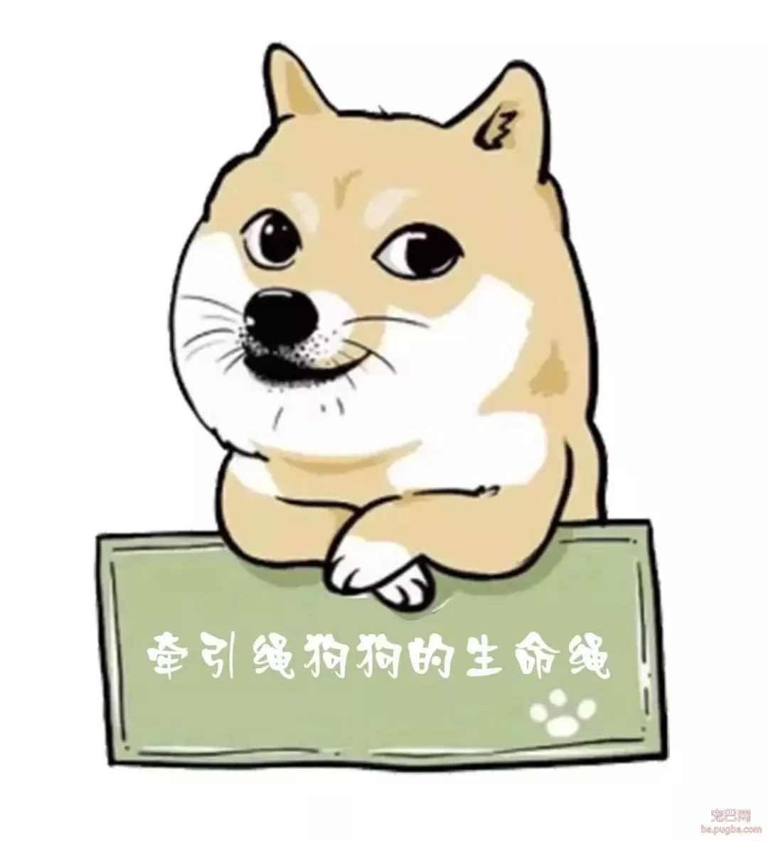 养犬知识小测验，你能打多少分？-3.jpeg