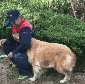 养犬知识小测验，你能打多少分？-4.gif