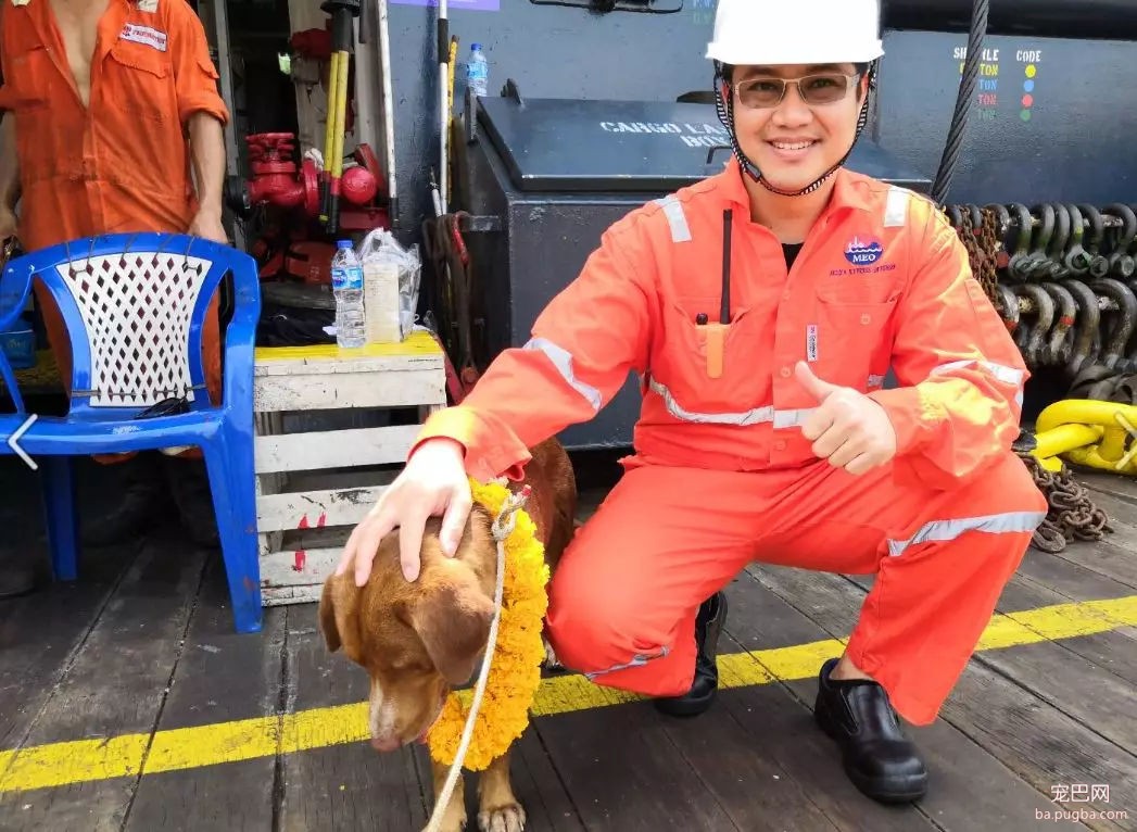​奇迹！狗狗海上漂流200公里求生，电影都不敢这么拍-5.jpg