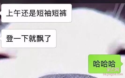 养儿防老，养狗暖脚：一到冬天，大家都羡慕我养狗了！-1.jpeg