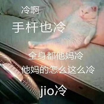 养儿防老，养狗暖脚：一到冬天，大家都羡慕我养狗了！-3.jpeg