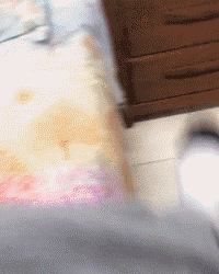 养儿防老，养狗暖脚：一到冬天，大家都羡慕我养狗了！-14.gif