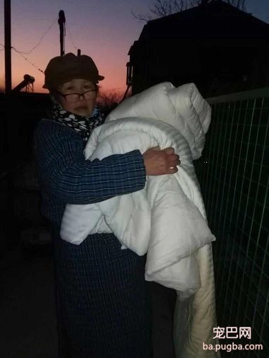 被主人虐待9年的狗妈妈“虎子“和它的孩子，现在怎么样了？-10.jpeg