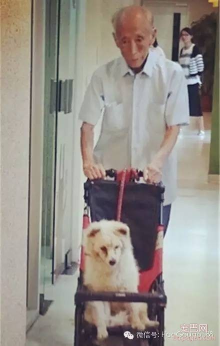 和你不离不弃，不是说说而已-3.jpeg