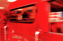 你距离真正的繁殖，差的可不只是钱-1.gif