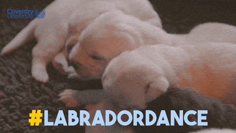 你距离真正的繁殖，差的可不只是钱-8.gif
