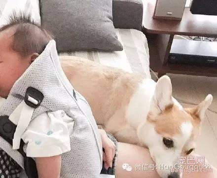 请放下你的偏见，试着去接纳他们两个在一起！-1.jpeg