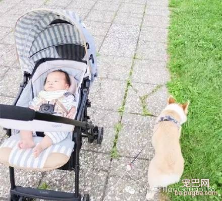 请放下你的偏见，试着去接纳他们两个在一起！-2.jpeg
