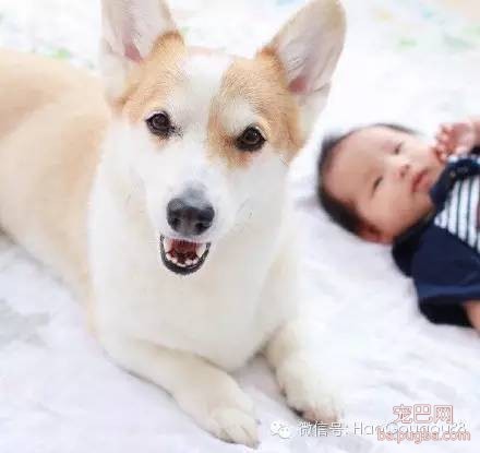 请放下你的偏见，试着去接纳他们两个在一起！-3.jpeg