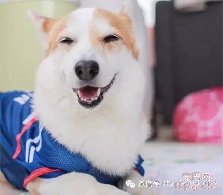 请放下你的偏见，试着去接纳他们两个在一起！-8.jpeg