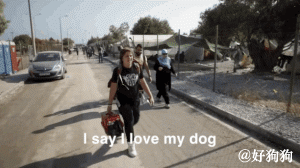战争令他流离失所，他却依然带着狗狗寻找新家-6.gif