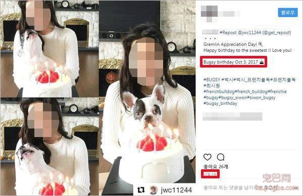 崔始源的法斗咬伤邻居致死，牵个绳就这么难？！-23.jpeg