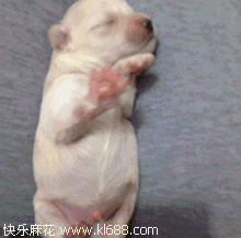 这个世界有种萌，你连看都不敢看-5.gif
