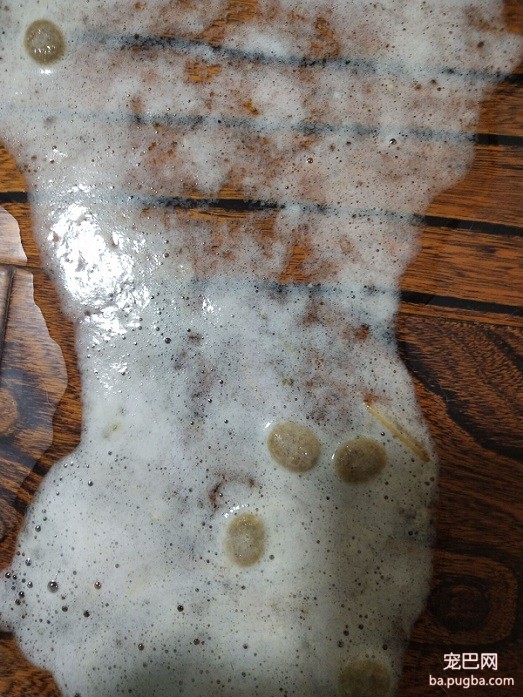 胰腺炎.jpg