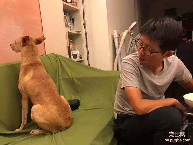 就因为吃饭的时候没喊狗，这货竟然生气了：绝交！-2.jpeg