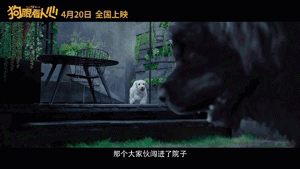 专访国际驯兽师，揭秘狗狗是如何演戏的~-11.gif