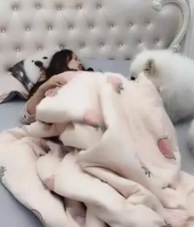 女子睡觉踢被子，狗狗看到后主动为主人盖被子，暖心汪！-2.jpeg