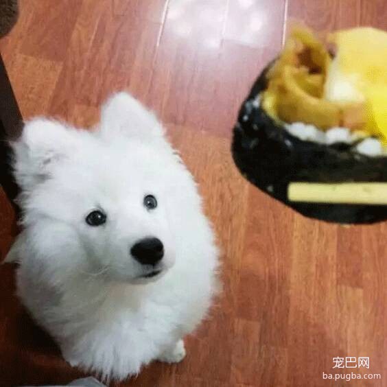 如果喜欢你的心意是金钱，那我就是百万富翁-2.jpeg