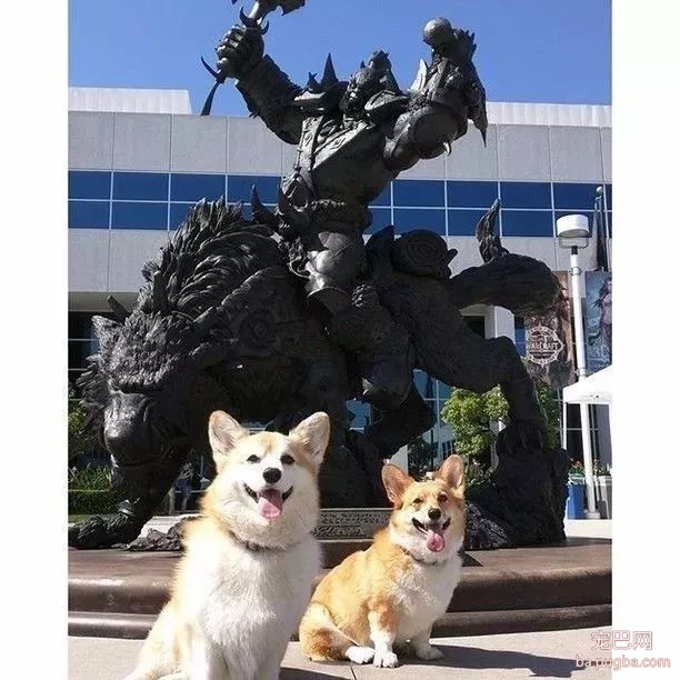 你爱玩的游戏，都是撸狗狂魔写的-8.jpeg