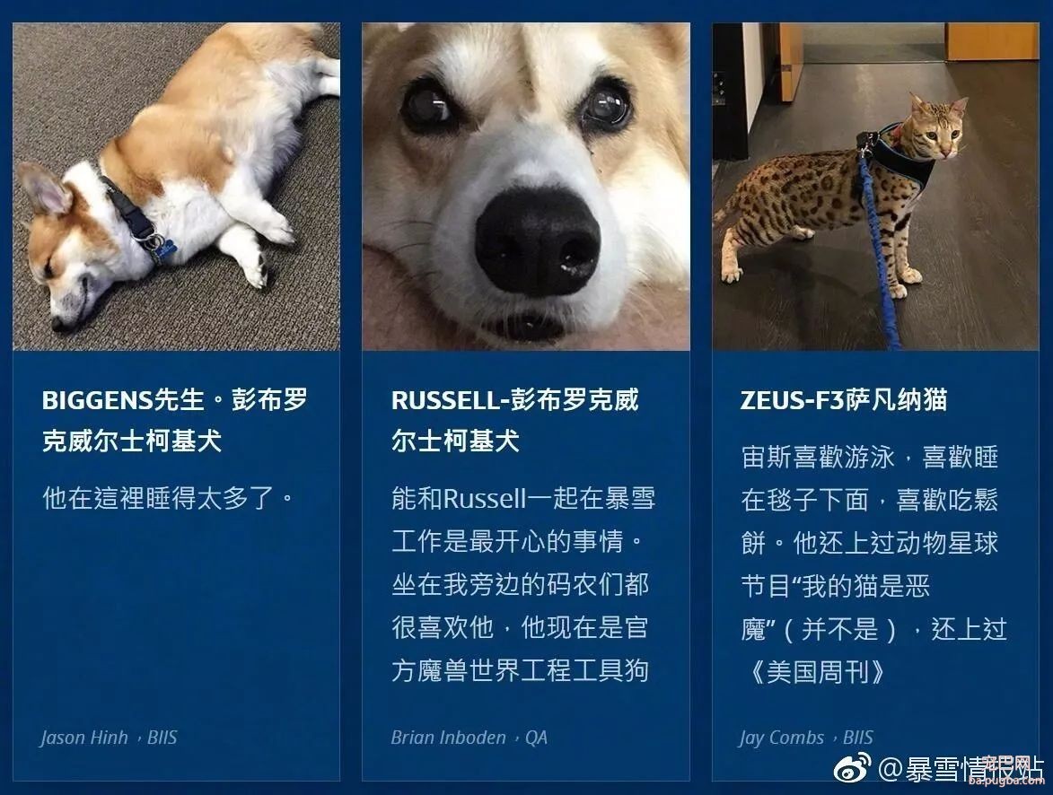 你爱玩的游戏，都是撸狗狂魔写的-13.jpeg